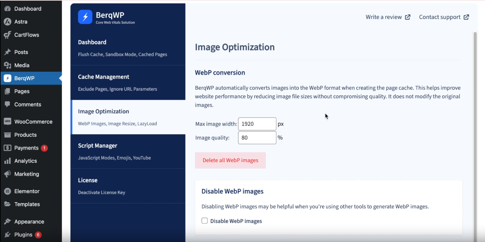 BerqWP Pro License Key Activation